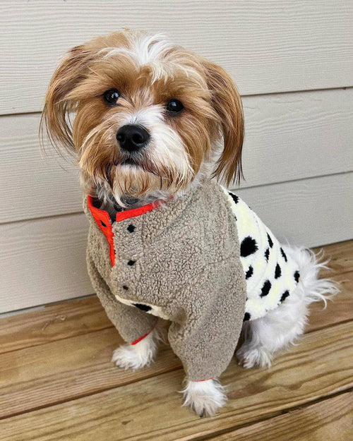 Big black polka dot print covers ivory sherpa on the bottom half of this cozy pullover, with a creamy, tan fleece top half, with black buttons for a half-open look. A brilliant coral red trim on the cuffs, neck, and bottom hem add the perfect modern touch for the ultimate street style.. dog sweater for beagles 