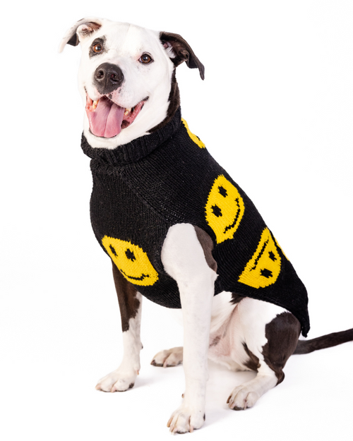 Smiley face dog sweater.. beagle in sweater.