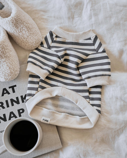 Camden Charcoal Striped Dog Sweatshirt female pug clothes