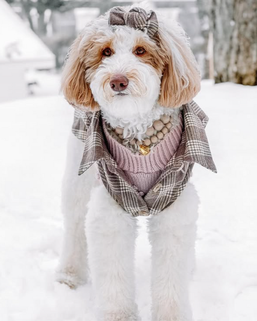 Polished Pup taupe beaded dog necklace laid flat, showcasing premium neutral-tone beads and delicate design for small and medium dogs