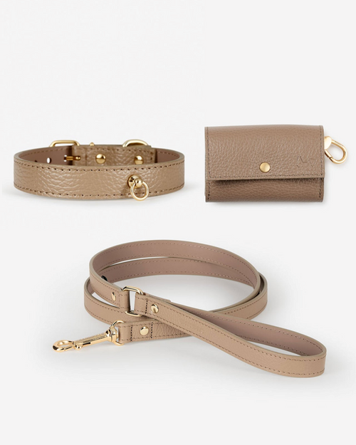 Nara taupe leather dog collar and leash walk kit, durable premium leather for small and medium dogs, stylish and secure