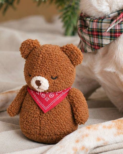 Beary Cuddly Stuffed Dog Toy