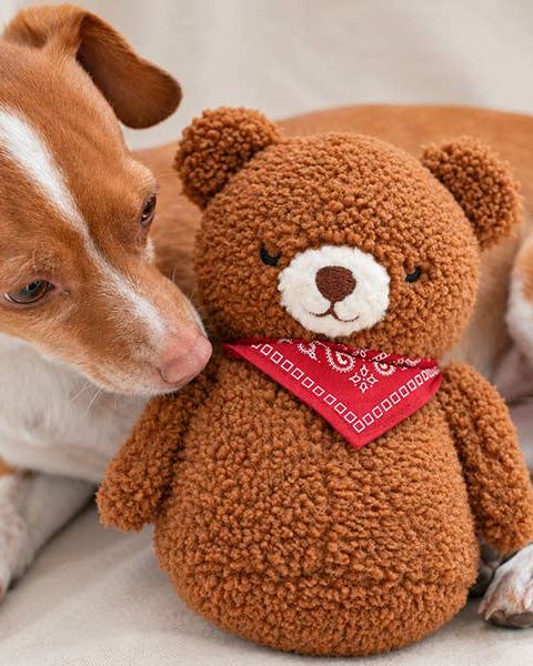 Beary Cuddly Stuffed Dog Toy