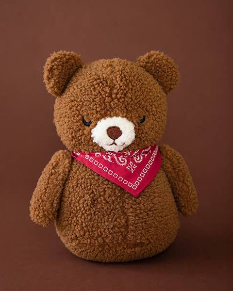 Beary Cuddly Stuffed Dog Toy