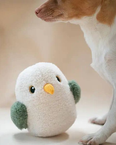 Owl About That Plush Dog Toy