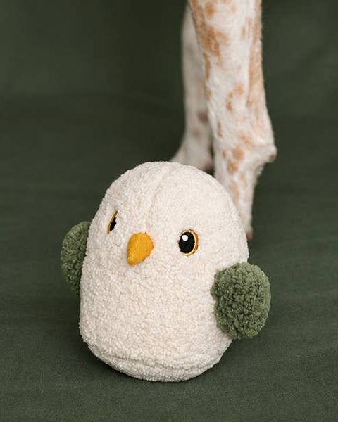 Owl About That Plush Dog Toy