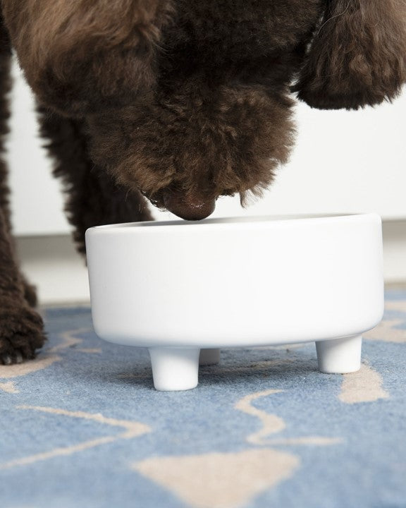 Treat Yourself White Ceramic Dog Bowl