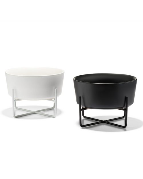 Bone Appétit White Elevated Dog Bowl