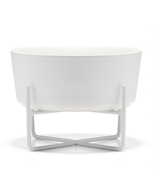 Bone Appétit White Elevated Dog Bowl