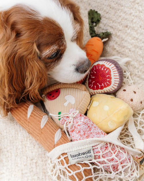 Farmers Bark-et Mini Dog Toy Set