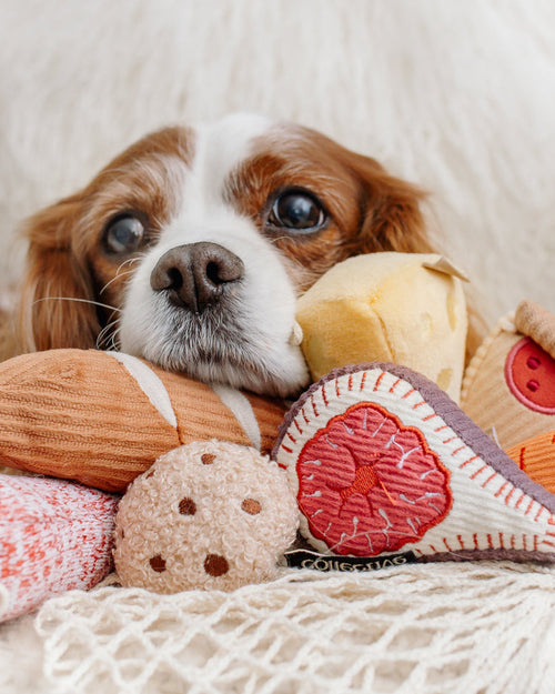 Farmers Bark-et Mini Dog Toy Set