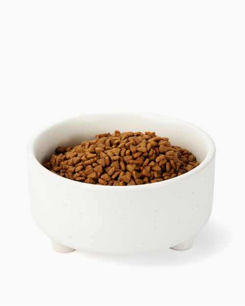 Modern white ceramic dog bowl with an elevated design, perfect for stylish feeding spaces, ideal for pugs, French bulldogs, and cavalier spaniels