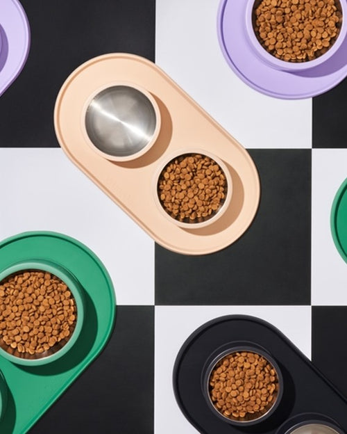 Wild One Tan Mealtime Kit