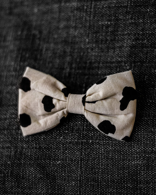 Apollo Dot Print Bow Tie Product Image