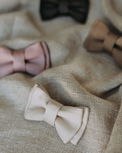 Walk of the Town Ivory Bow Tie Product Image Detail