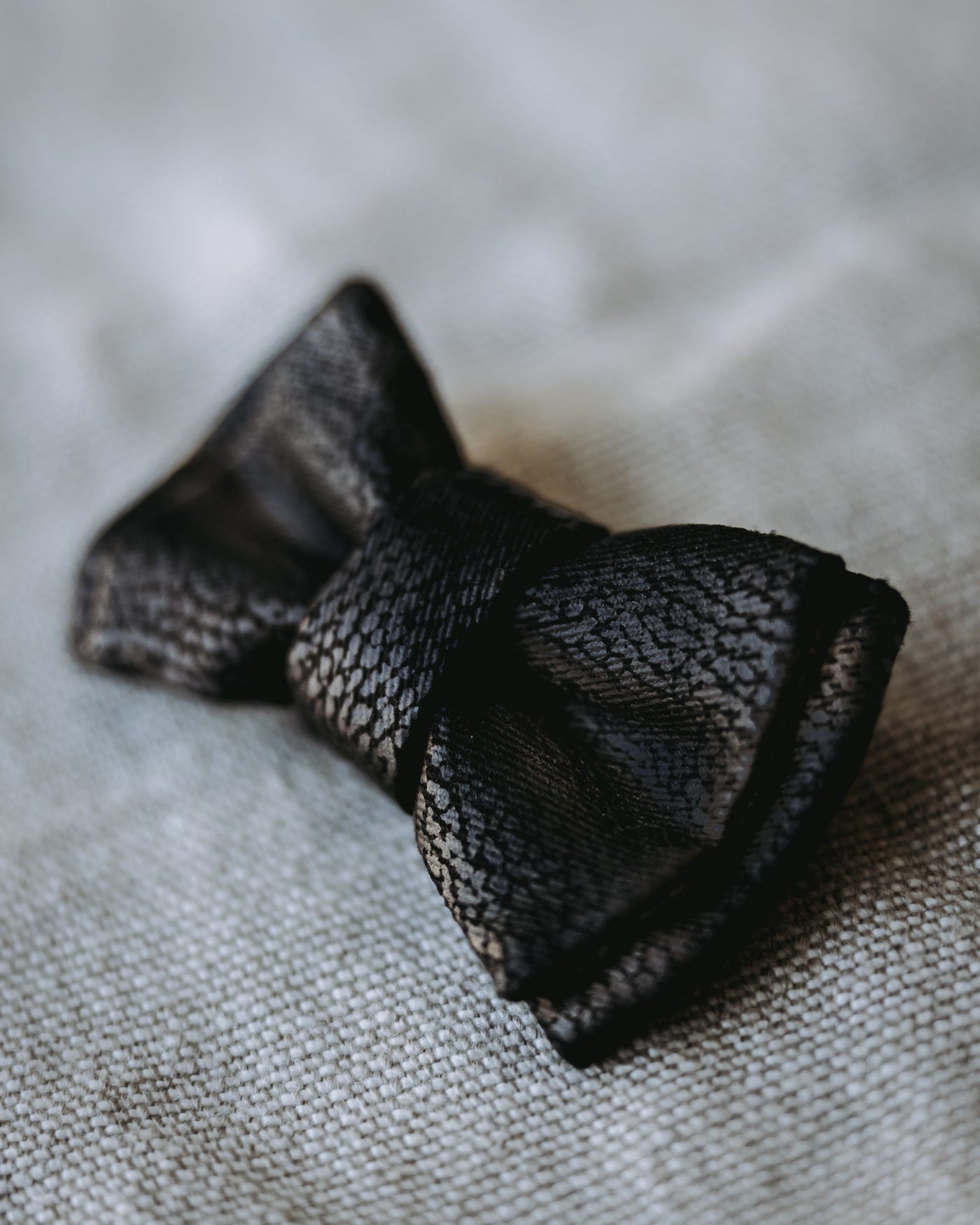 Nightlife Black Snake Bow Tie Product Image Detail