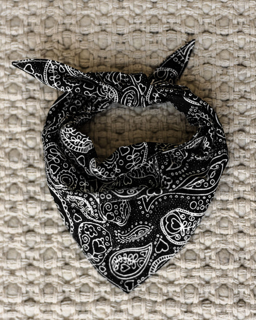 Ozzie Black Paisley Print Bandana Product Image