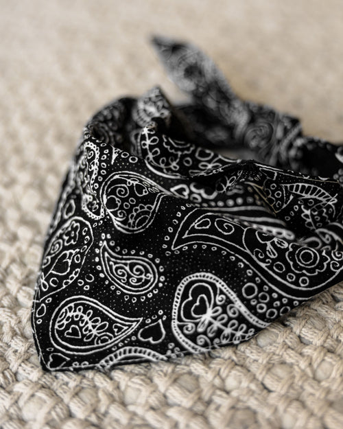 Ozzie Black Paisley Print Bandana Product Image Detail