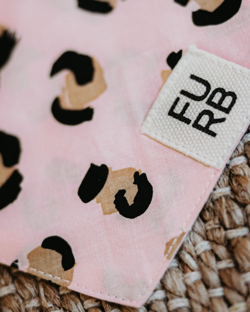 Juno Peach Leopard Bandana Product Image Detail