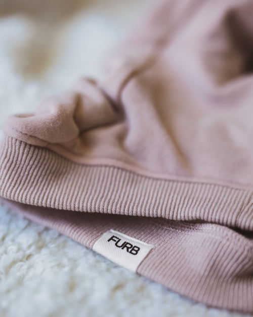 Ziggy Blush Hoodie Product Image Detail. Beagle pink hoodie.
