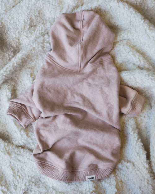 Ziggy Blush Hoodie Product Image Detail. Frenchie pink hoodie.