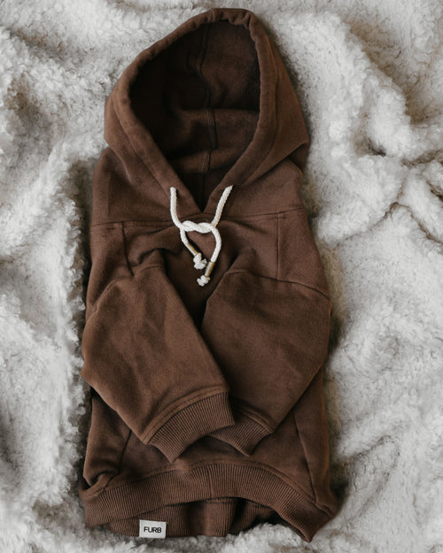 Ziggy Coffee Hoodie Product Image Detail. Great hoodie for small dogs 