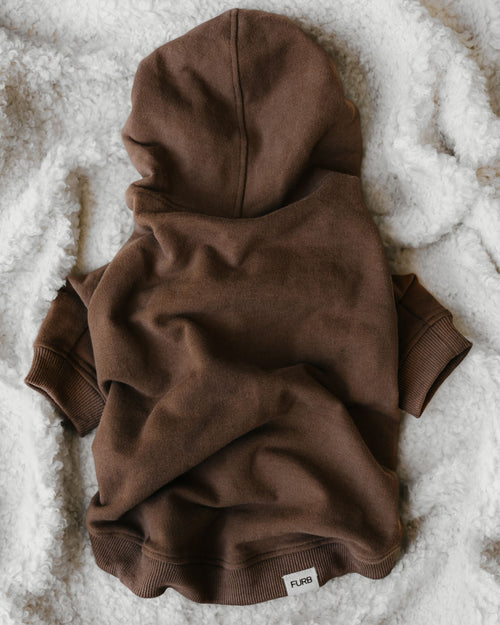 Ziggy Coffee Hoodie Product Image Detail. Great hoodie for pugs 