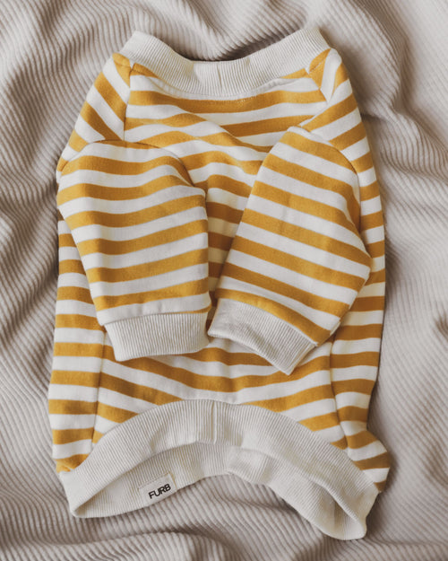 Camden Goldenrod Striped Crewneck Product Image Detail