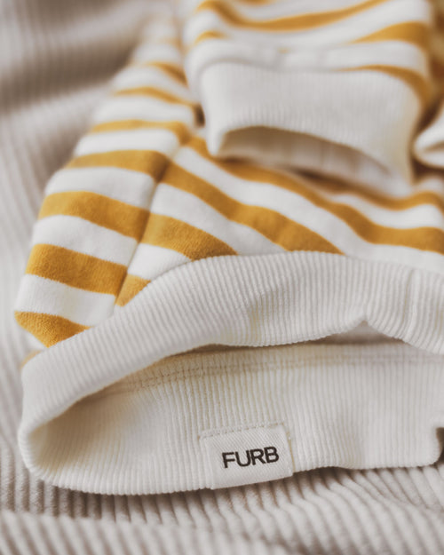 Camden Goldenrod Striped Crewneck Product Image Detail