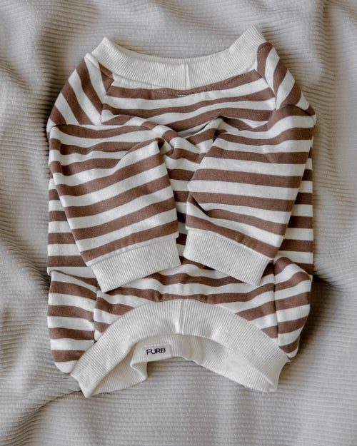 Camden Brown Striped Crewneck Product Image Detail bichon frise sweatshirt