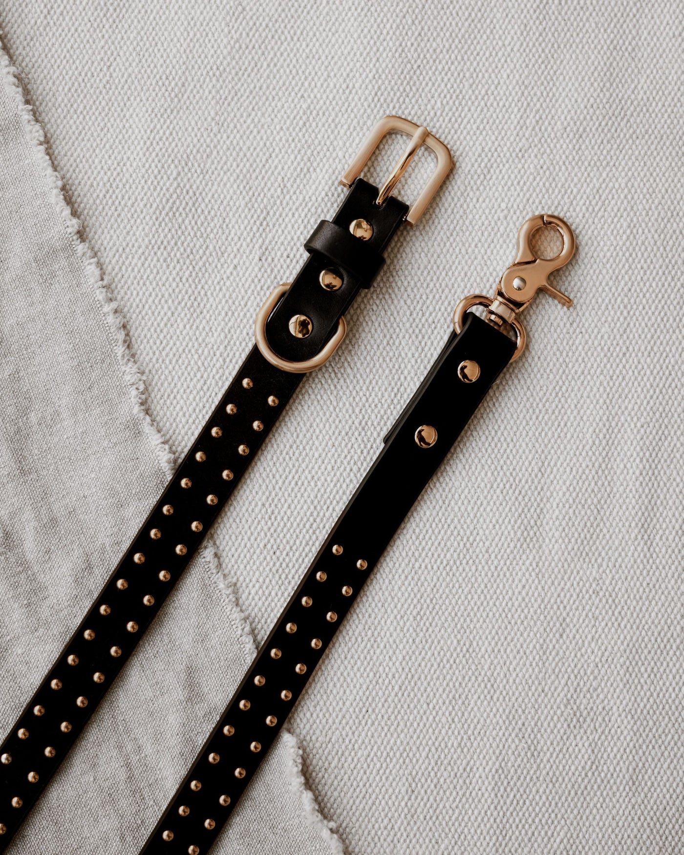 What a Stud Black Leather Leash Product Image