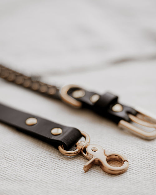 What a Stud Black Leather Leash Product Image Detail