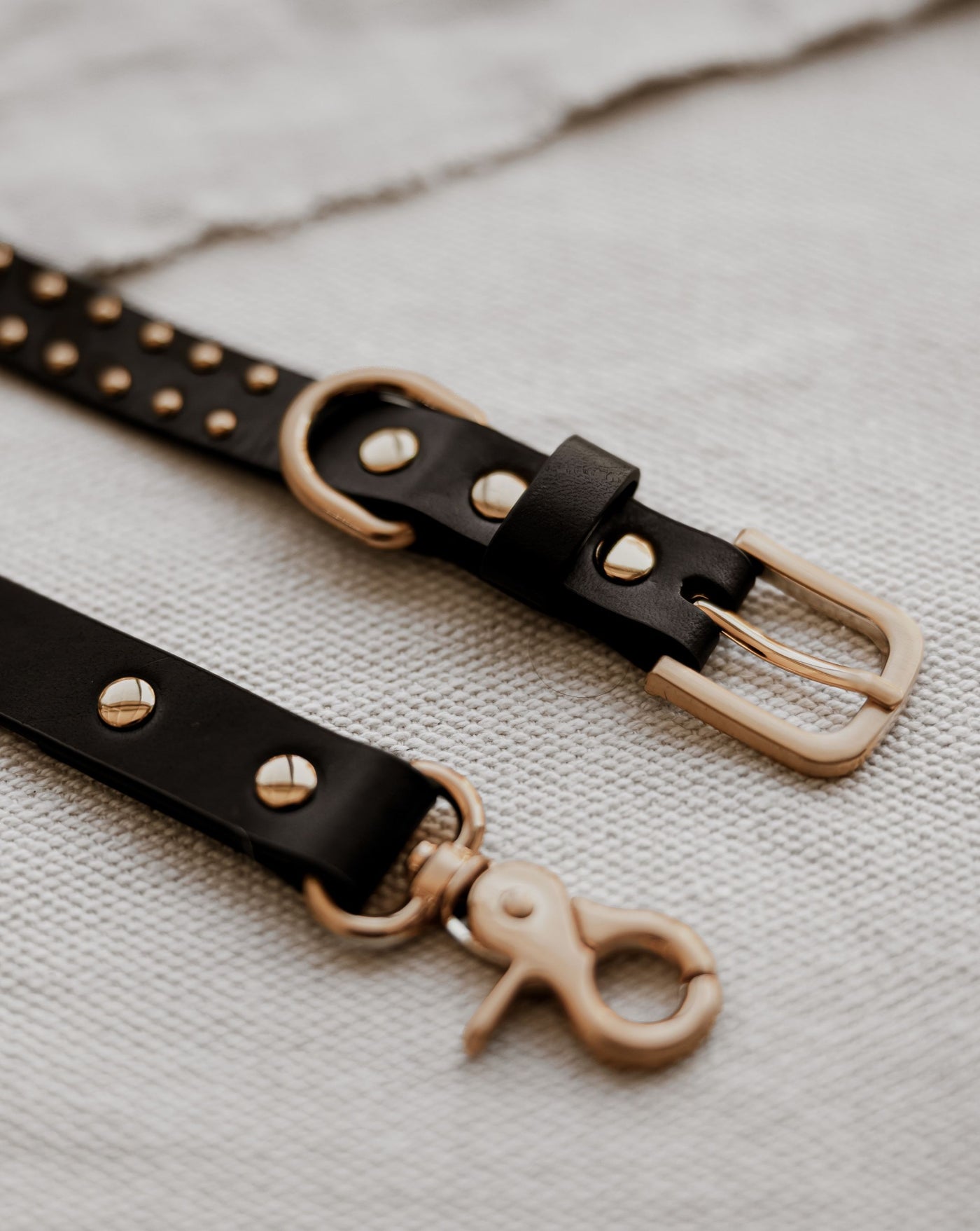 What a Stud Black Leather Collar Product Image Detail