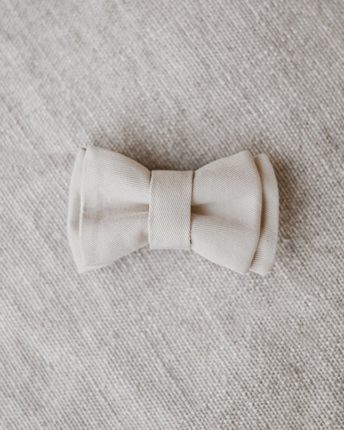 Walk of the Town Ivory Bow Tie Product Image