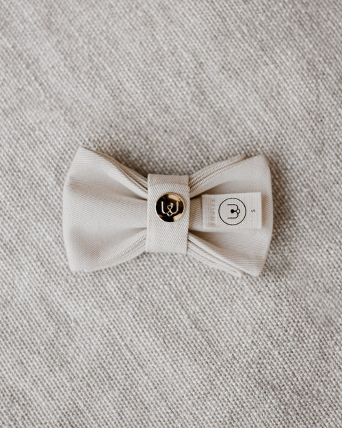 Walk of the Town Ivory Bow Tie Product Image Detail