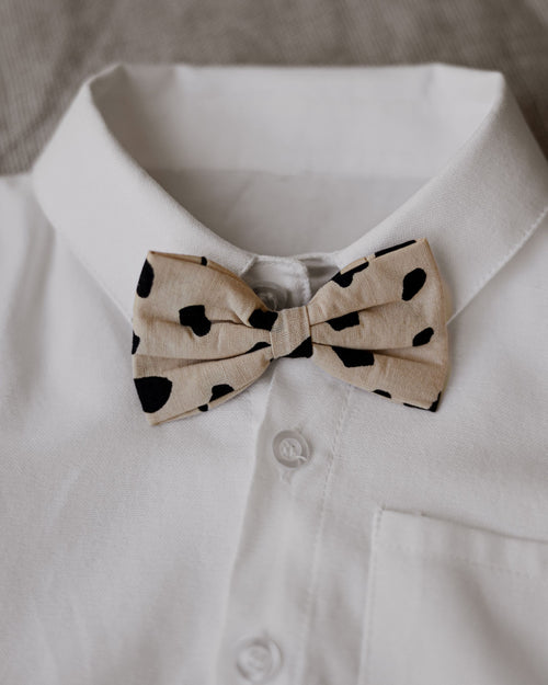 Apollo Dot Print Bow Tie Product Image Detail