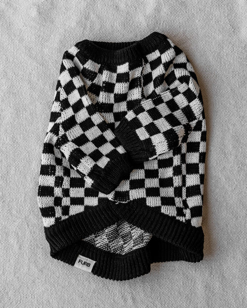 Arlo Black Check Sweater Product Image Detail. chihuahua in a sweater 