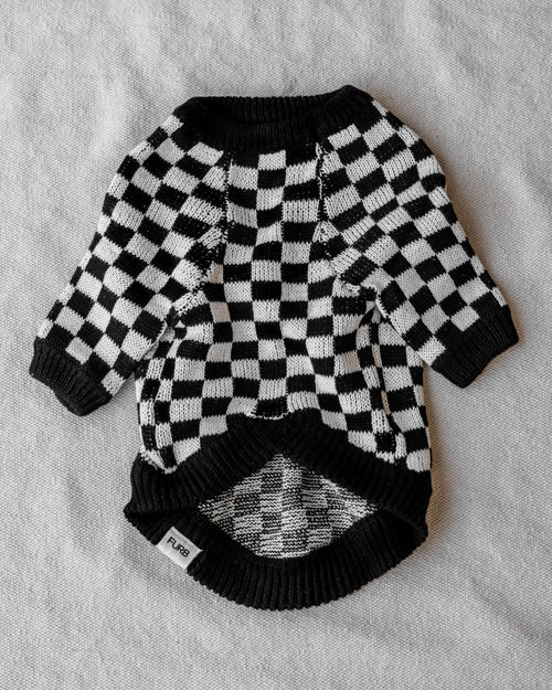Arlo Black Check Sweater Product Image Detail. chihuahua with sweater 