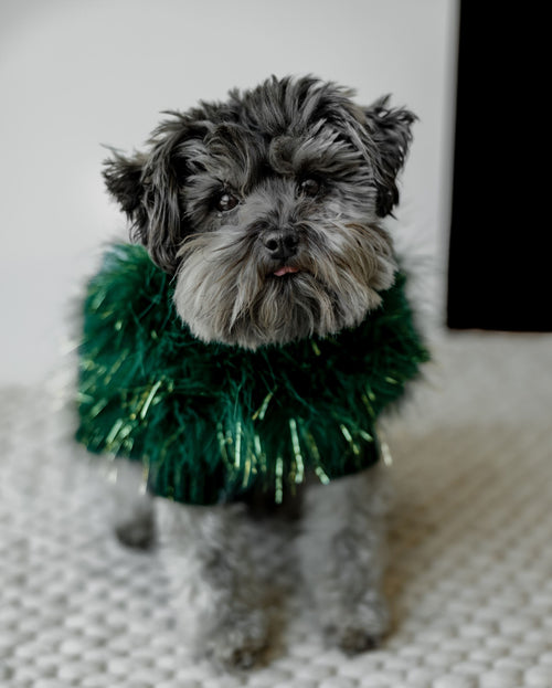 Christian Cowan Glitz Jumper Product Image. corgi fancy sweater women&