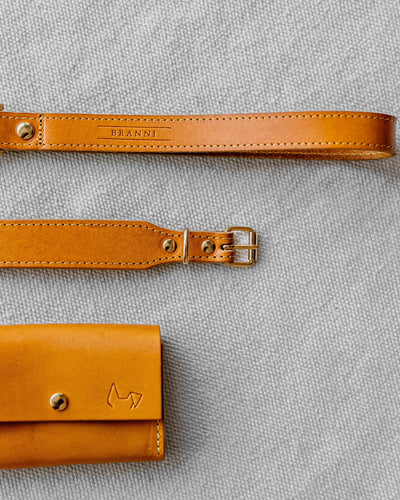 Rocco Leash in Tan and Yellow Leather Product Image