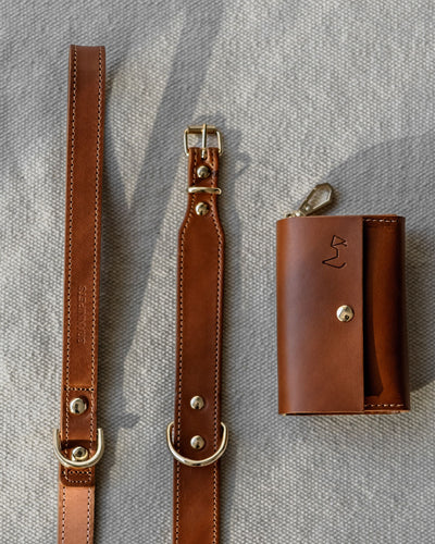 Rocco Leash in Tan and Cognac Leather Product Image