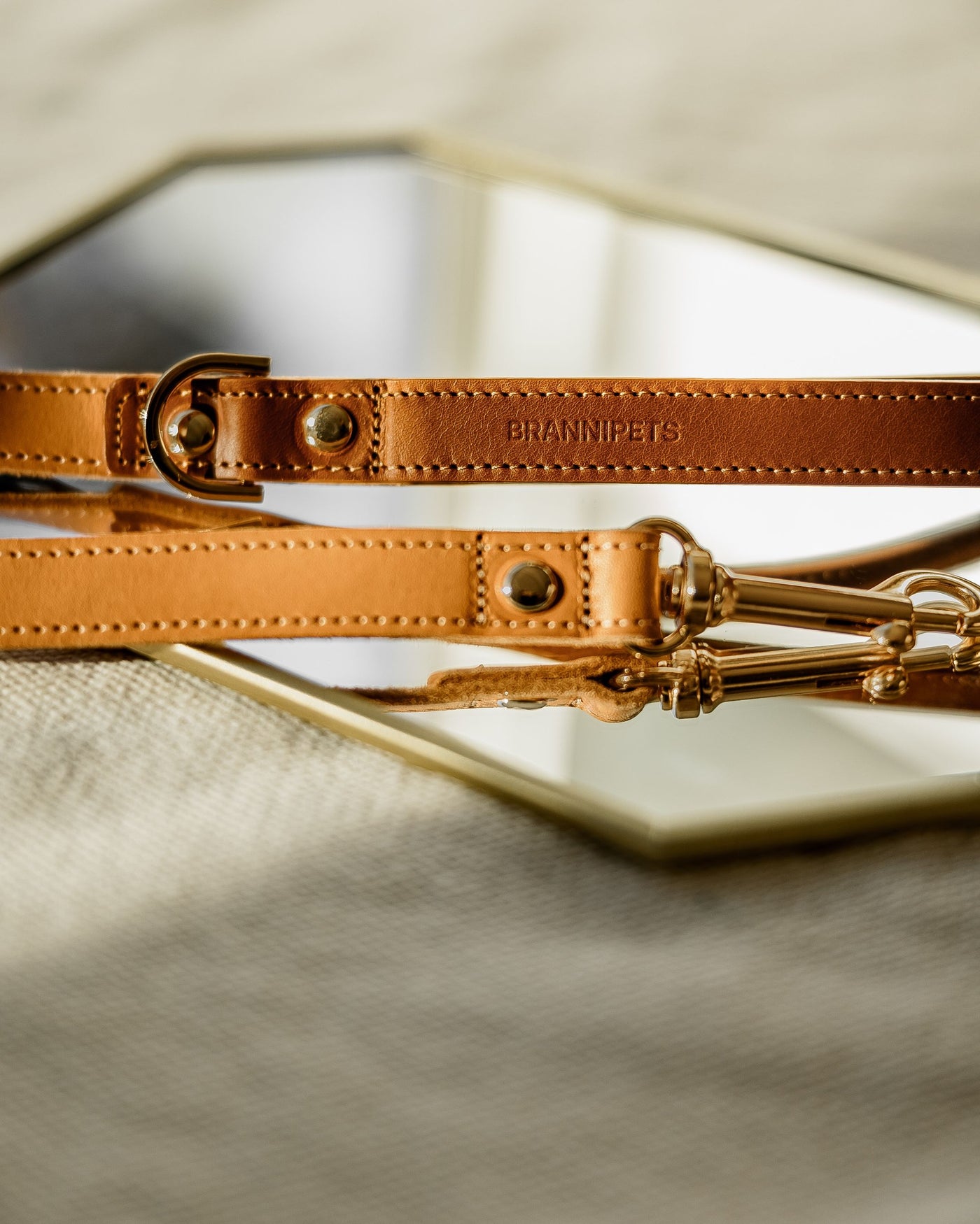Rocco Leash in Tan and Cognac Leather Product Image Detail