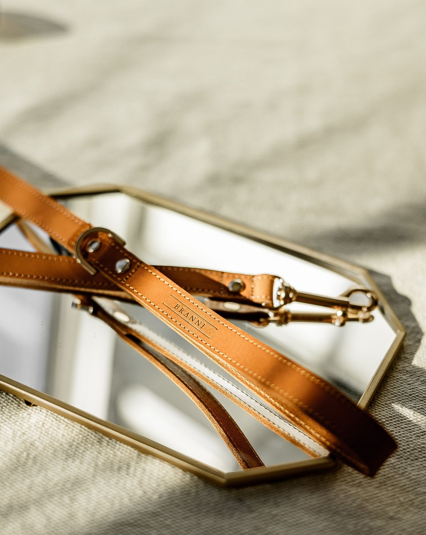 Rocco Leash in Tan and Yellow Leather Product Image Detail