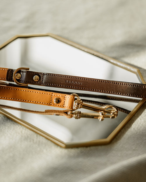 Rocco Leash in Tan and Brown Leather Product Image Detail