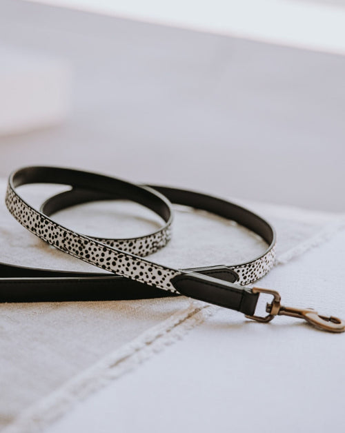 Pony hair dog leash paired with tan leather collar and waste bag, styled for fashion-conscious dog owners and safe outdoor walks