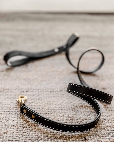 Take the Lead Black Leather Leash Product Image