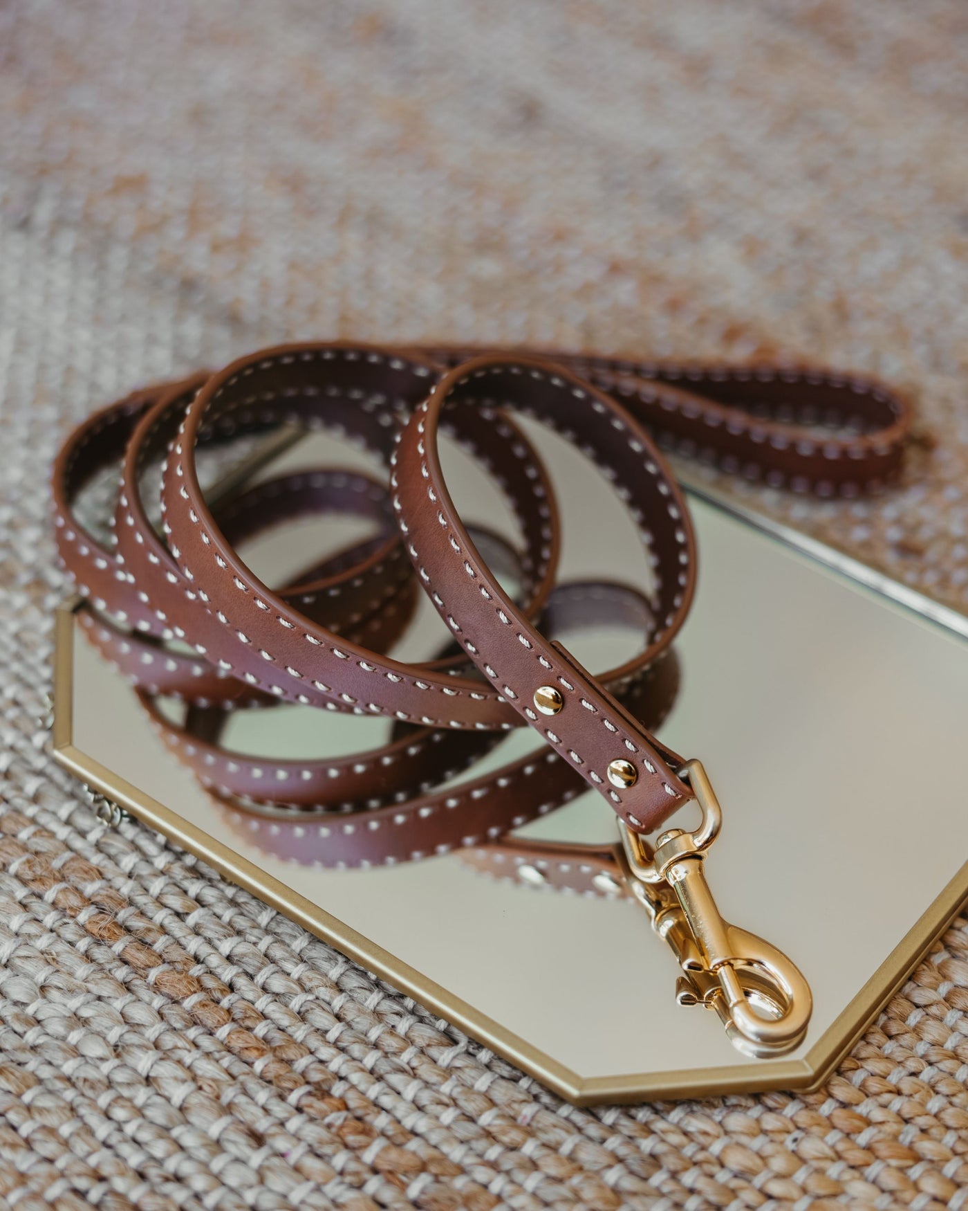 Take the Lead Tan Leather Leash Product Image Detail