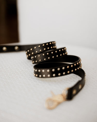 What a Stud Black Leather Leash Product Image Detail