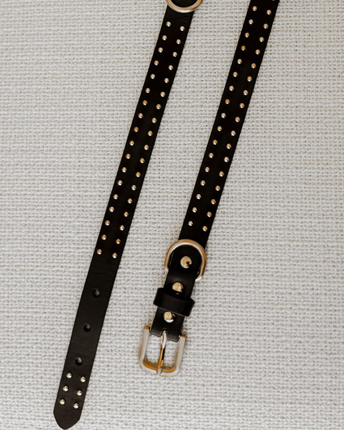 What a Stud Black Leather Collar Product Image Detail
