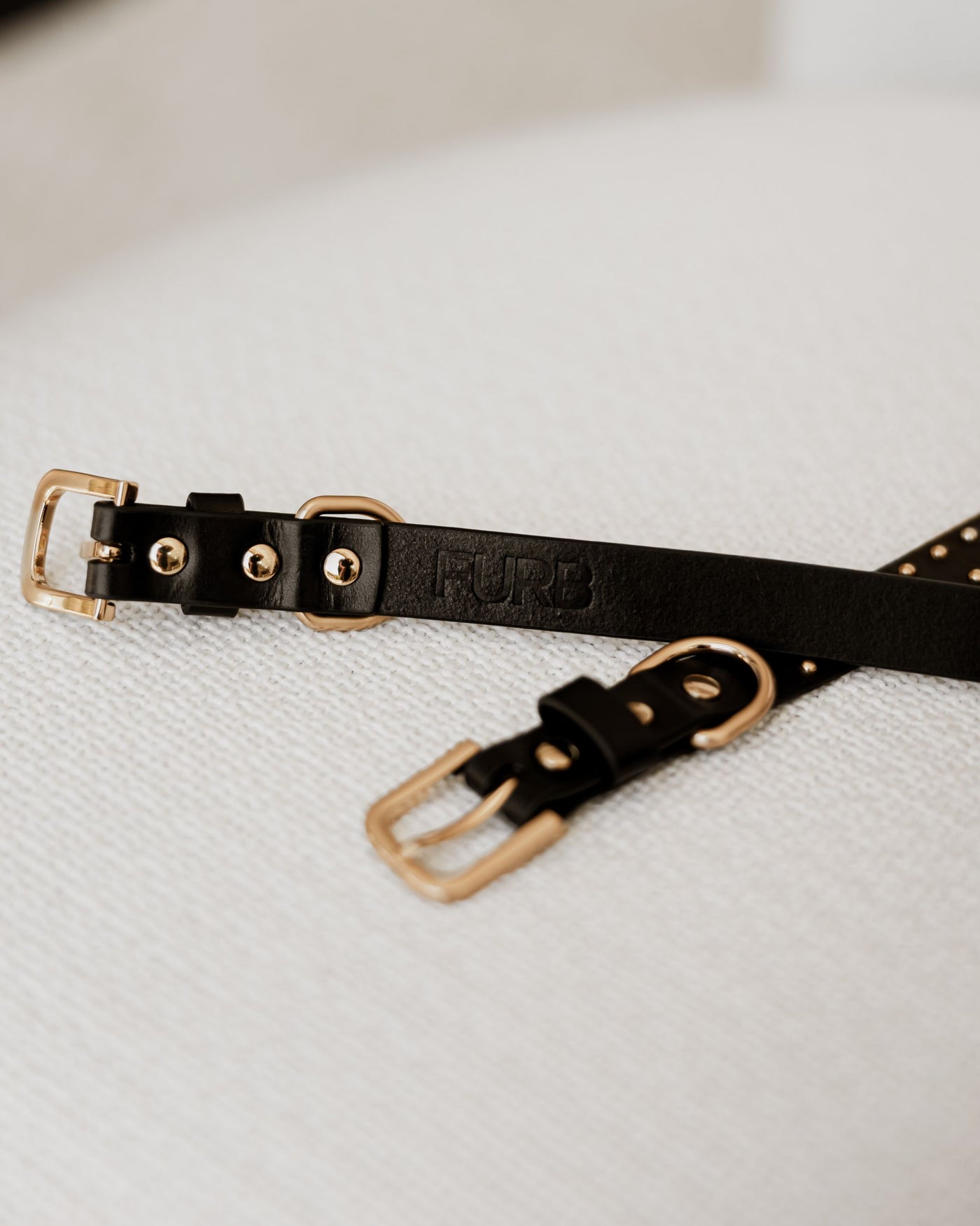 What a Stud Black Leather Collar Product Image Detail